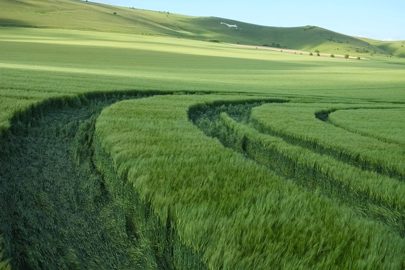 Stanton St Bernard (2), Wiltshire crop circle, aerial photo 64