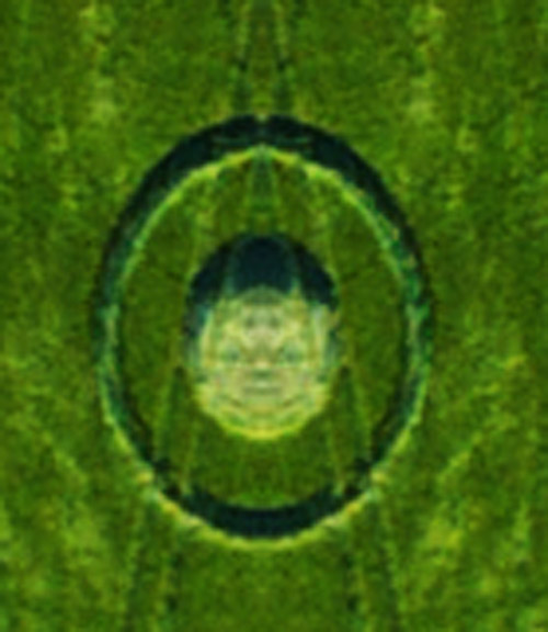 Stanton St Bernard (2), Wiltshire crop circle, aerial photo 43