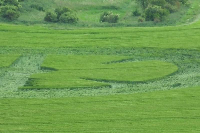 Stanton St Bernard (2), Wiltshire crop circle, aerial photo 51
