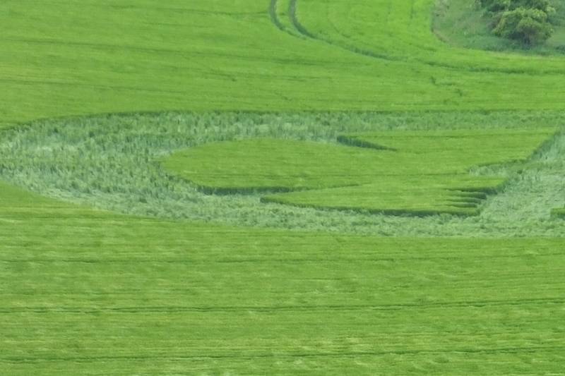 Stanton St Bernard (2), Wiltshire crop circle, aerial photo 52