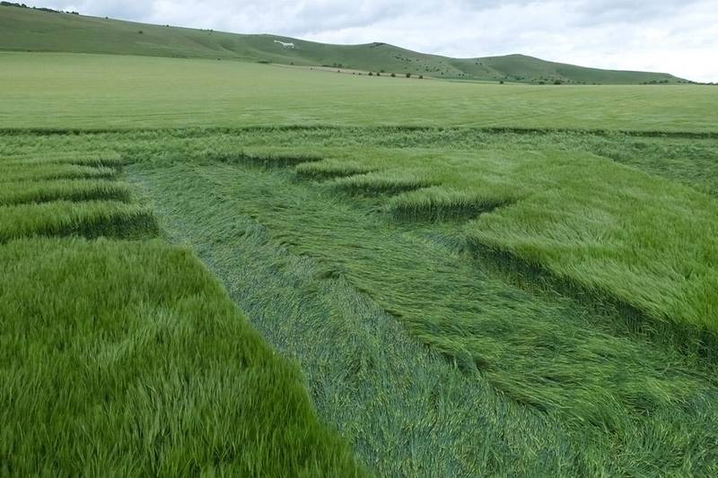 Stanton St Bernard (2), Wiltshire crop circle, aerial photo 79