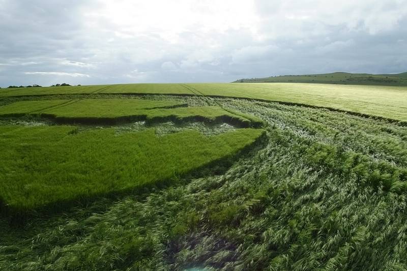 Stanton St Bernard (2), Wiltshire crop circle, aerial photo 76