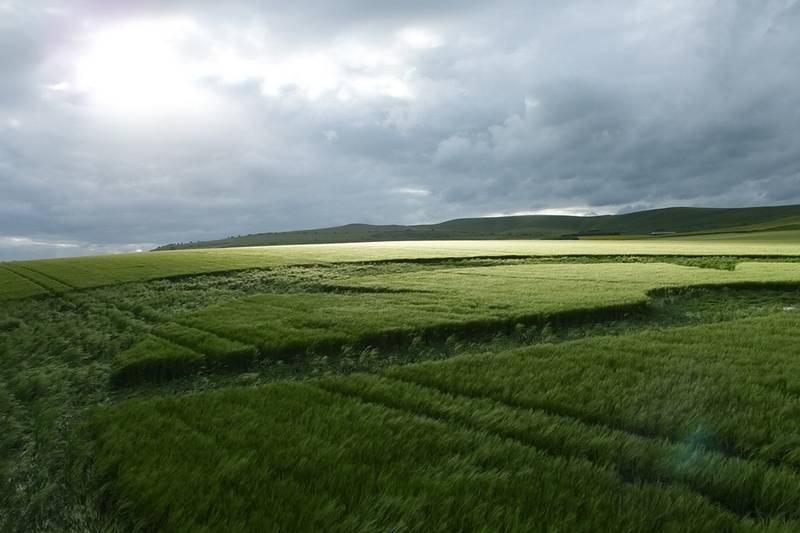 Stanton St Bernard (2), Wiltshire crop circle, aerial photo 54