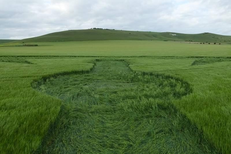 Stanton St Bernard (2), Wiltshire crop circle, aerial photo 71