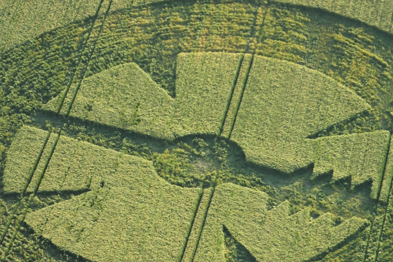 Stanton St Bernard (2), Wiltshire crop circle, aerial photo 6