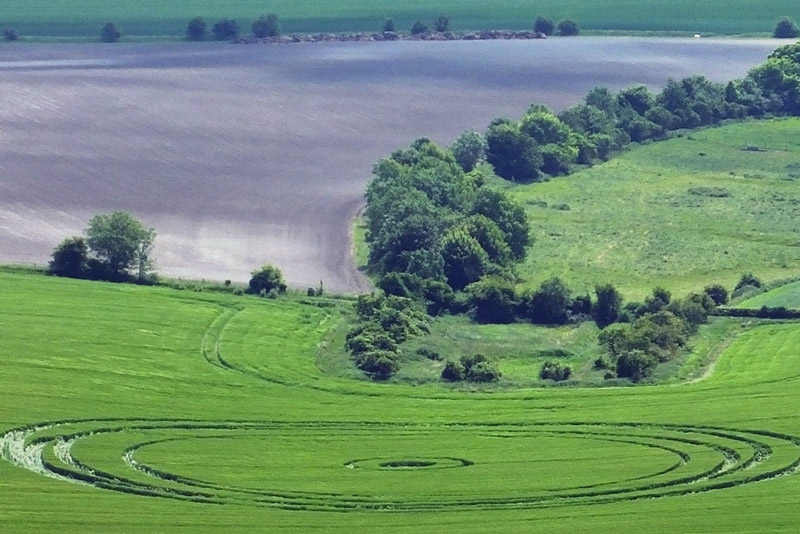 Stanton St Bernard (2), Wiltshire crop circle, aerial photo 55