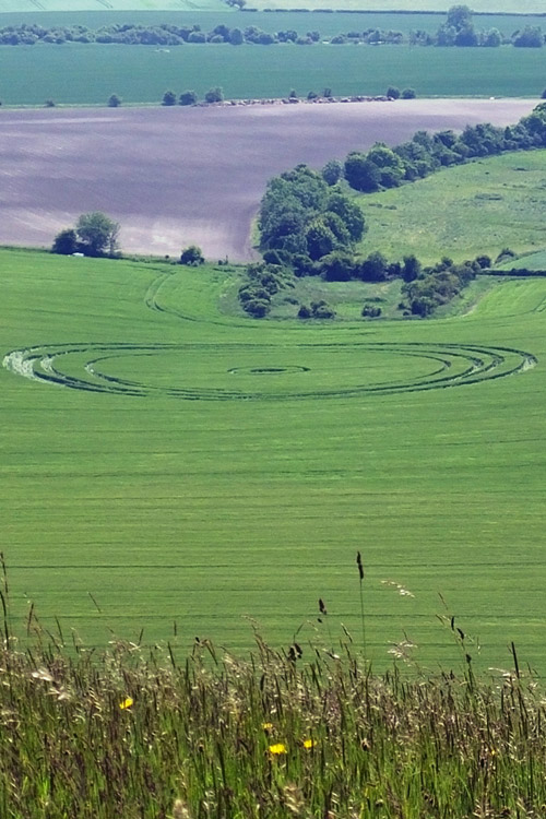 Stanton St Bernard (2), Wiltshire crop circle, aerial photo 57