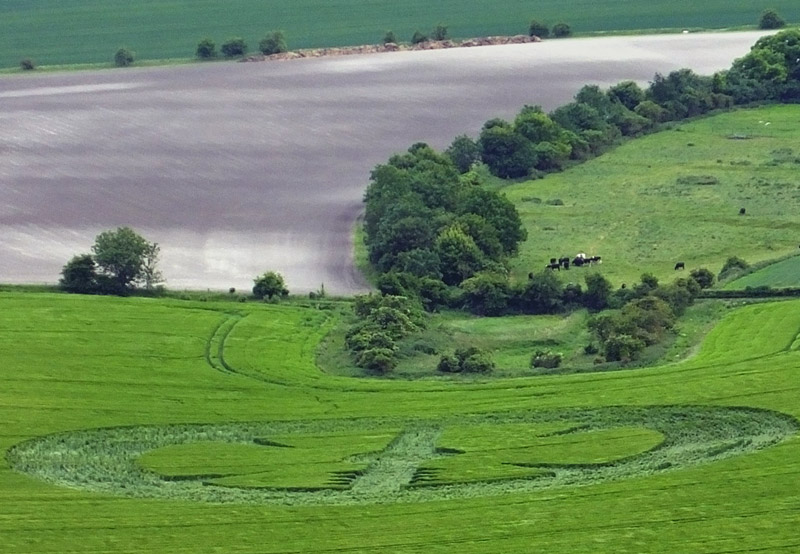 Stanton St Bernard (2), Wiltshire crop circle, aerial photo 46