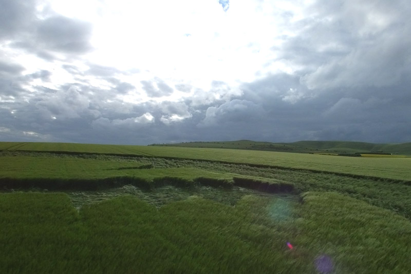 Stanton St Bernard (2), Wiltshire crop circle, aerial photo 50