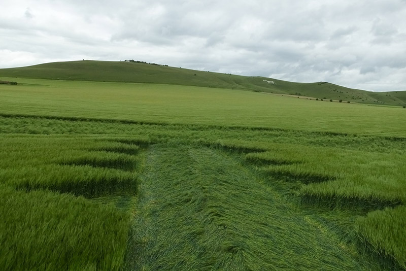 Stanton St Bernard (2), Wiltshire crop circle, aerial photo 48