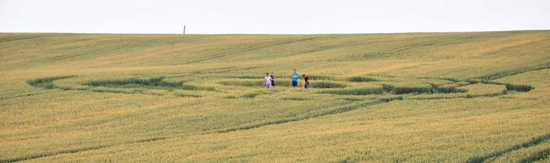 Tseperov, Ukraine crop circle, aerial photo 2