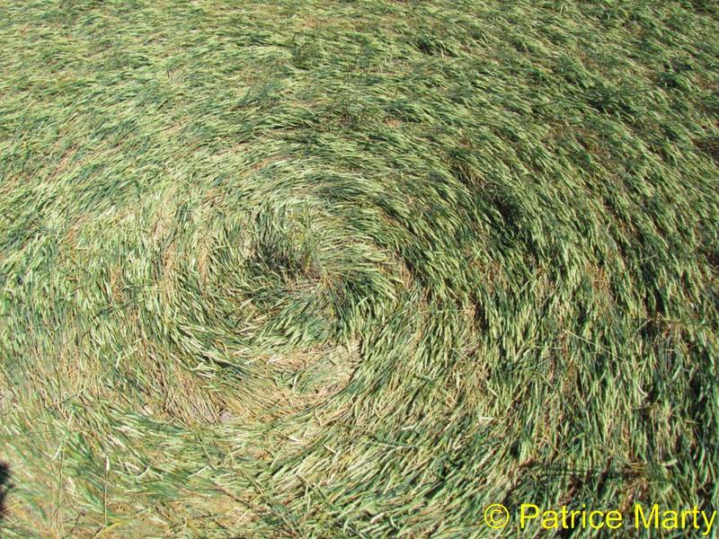 All Cannings, Wiltshire crop circle, aerial photo 24