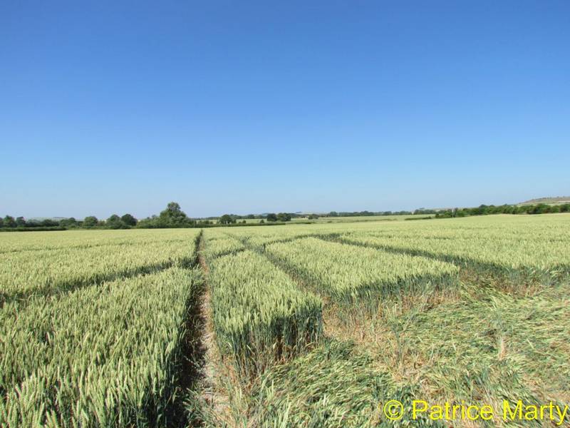 All Cannings, Wiltshire crop circle, aerial photo 29