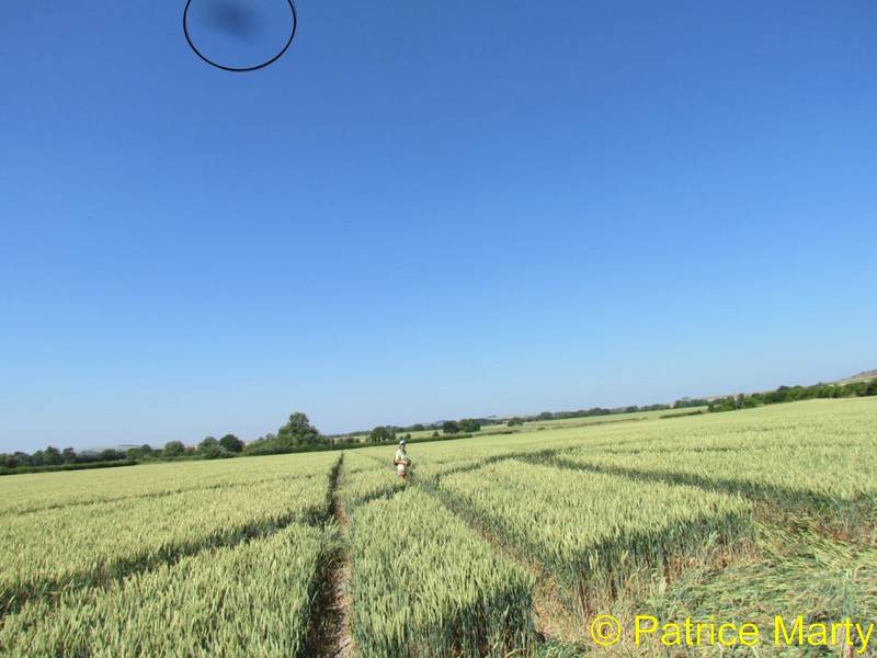 All Cannings, Wiltshire crop circle, aerial photo 23