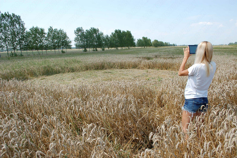 Amber Michurinsky, Russia crop circle, aerial photo 2