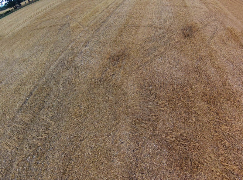 Ashmore, Dorset crop circle, aerial photo 6