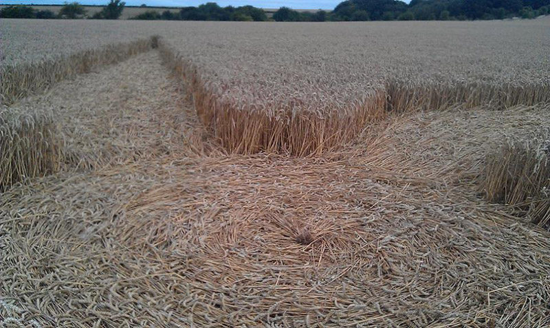Ashmore, Dorset crop circle, aerial photo 2