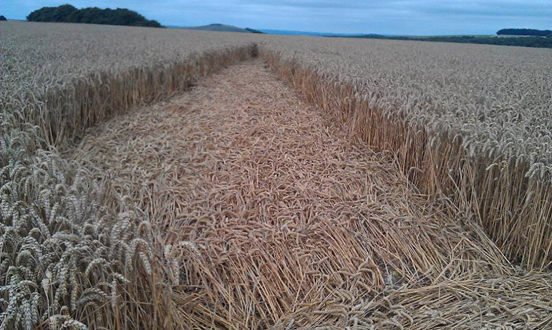 Ashmore, Dorset crop circle, aerial photo 3