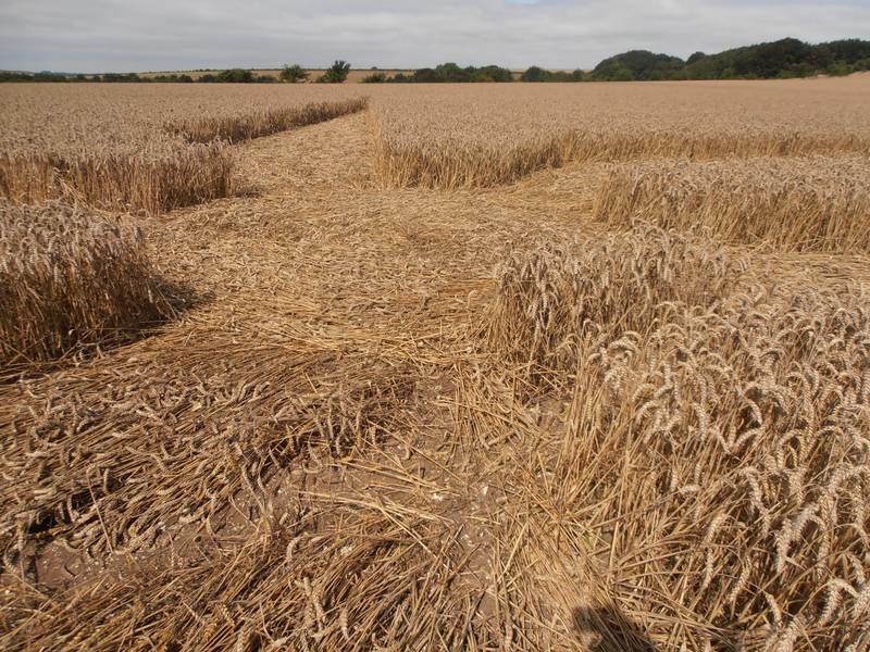 Ashmore, Dorset crop circle, aerial photo 26