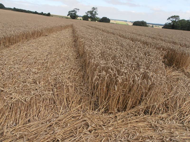 Ashmore, Dorset crop circle, aerial photo 49