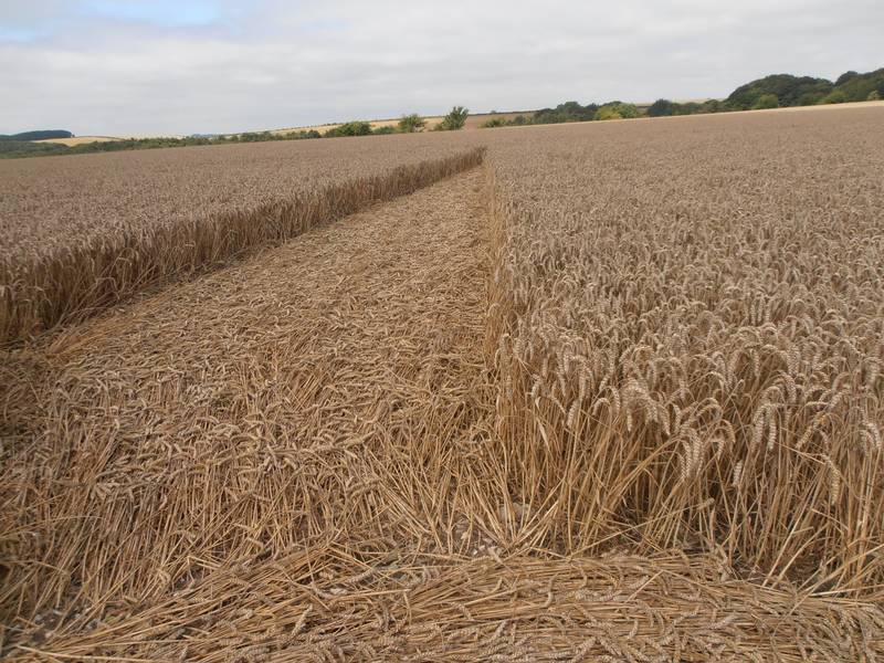 Ashmore, Dorset crop circle, aerial photo 72