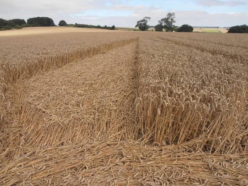 Ashmore, Dorset crop circle, aerial photo 14