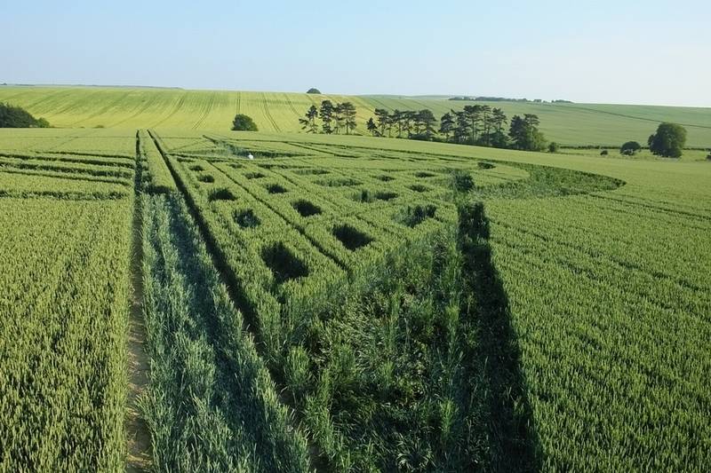 Avebury Trusloe, Wiltshire crop circle, aerial photo 77
