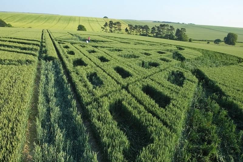 Avebury Trusloe, Wiltshire crop circle, aerial photo 80