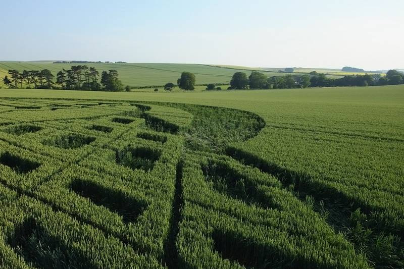 Avebury Trusloe, Wiltshire crop circle, aerial photo 79