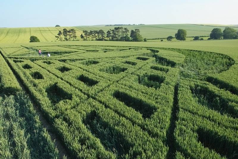 Avebury Trusloe, Wiltshire crop circle, aerial photo 78