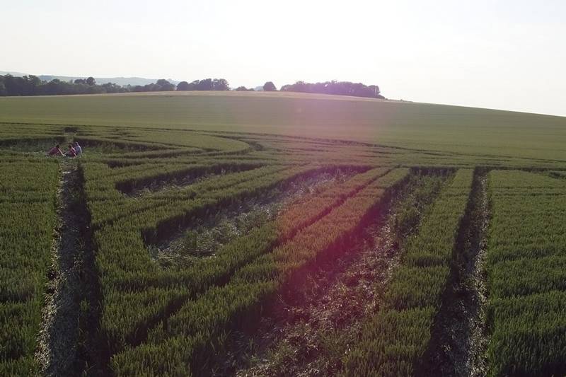 Avebury Trusloe, Wiltshire crop circle, aerial photo 81