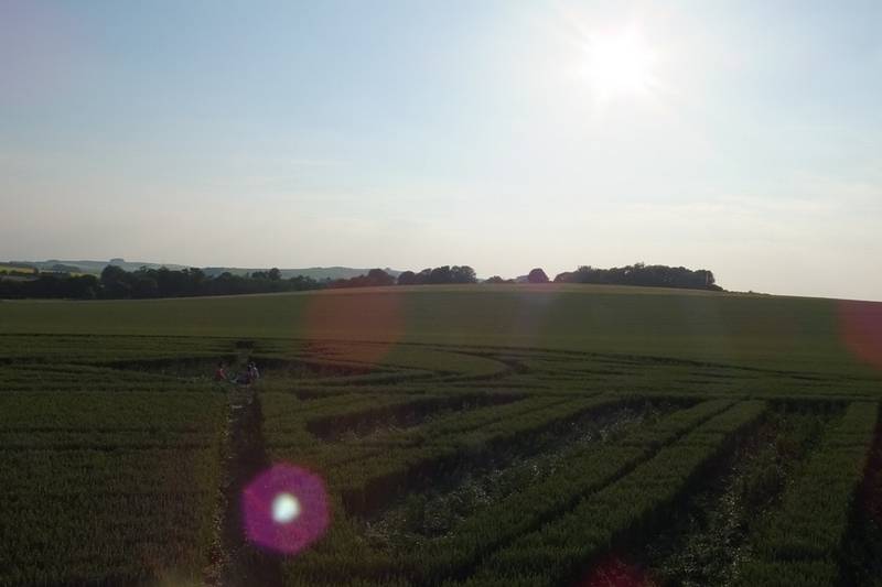 Avebury Trusloe, Wiltshire crop circle, aerial photo 85