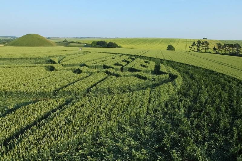 Avebury Trusloe, Wiltshire crop circle, aerial photo 84