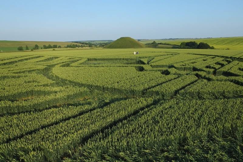 Avebury Trusloe, Wiltshire crop circle, aerial photo 83