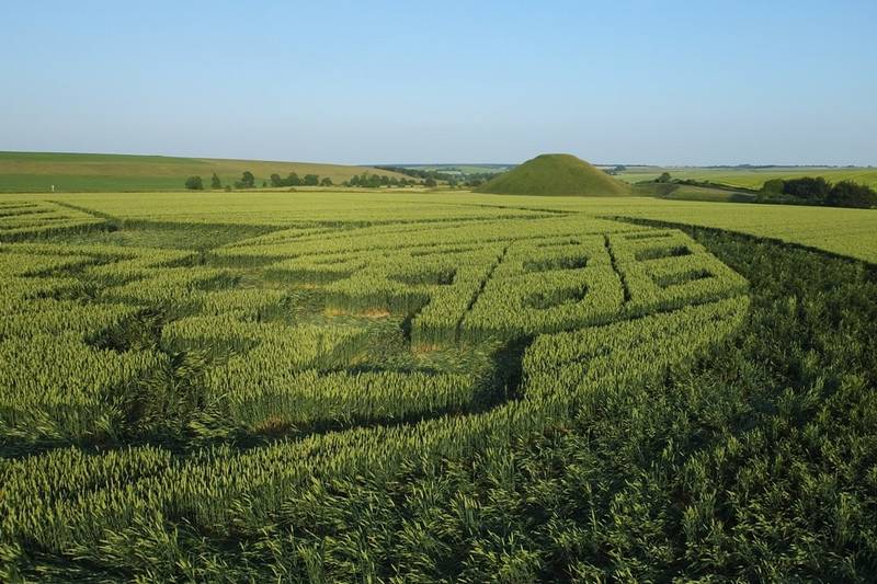 Avebury Trusloe, Wiltshire crop circle, aerial photo 82