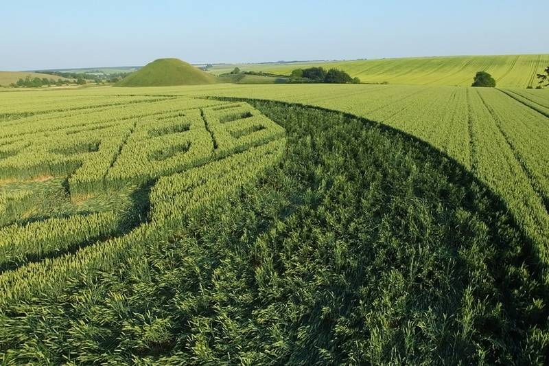 Avebury Trusloe, Wiltshire crop circle, aerial photo 86