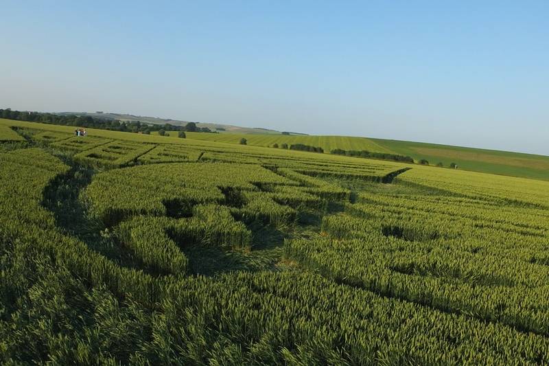 Avebury Trusloe, Wiltshire crop circle, aerial photo 90
