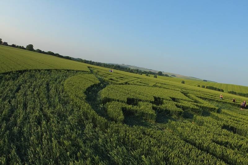 Avebury Trusloe, Wiltshire crop circle, aerial photo 89