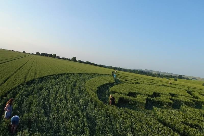Avebury Trusloe, Wiltshire crop circle, aerial photo 88