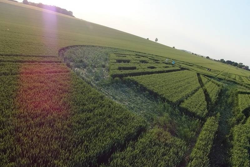 Avebury Trusloe, Wiltshire crop circle, aerial photo 87