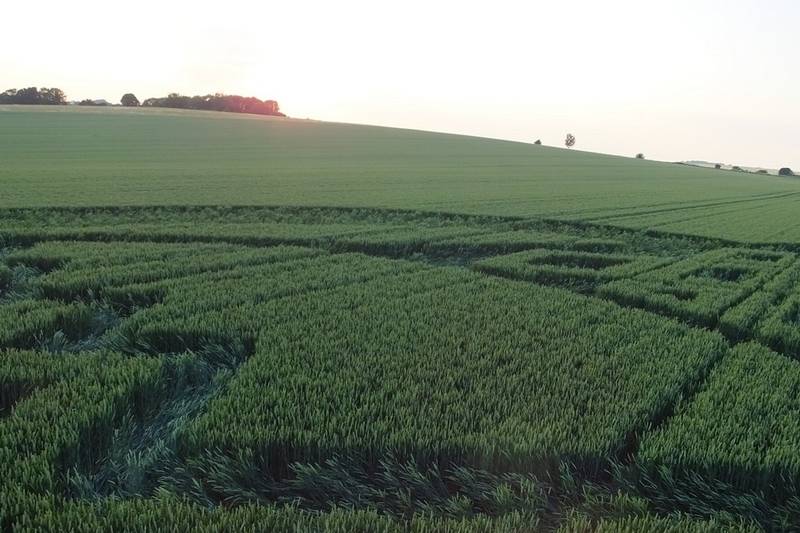 Avebury Trusloe, Wiltshire crop circle, aerial photo 92