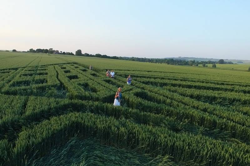 Avebury Trusloe, Wiltshire crop circle, aerial photo 96
