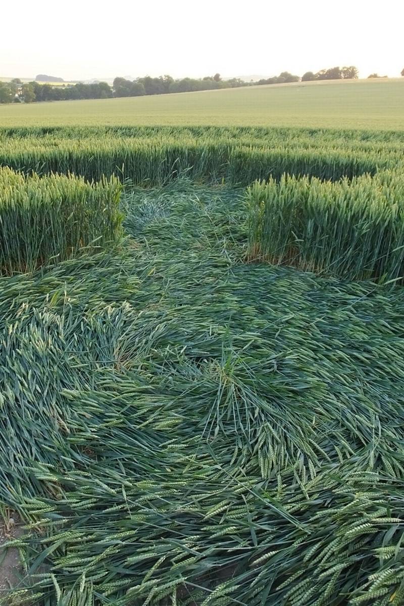 Avebury Trusloe, Wiltshire crop circle, aerial photo 100