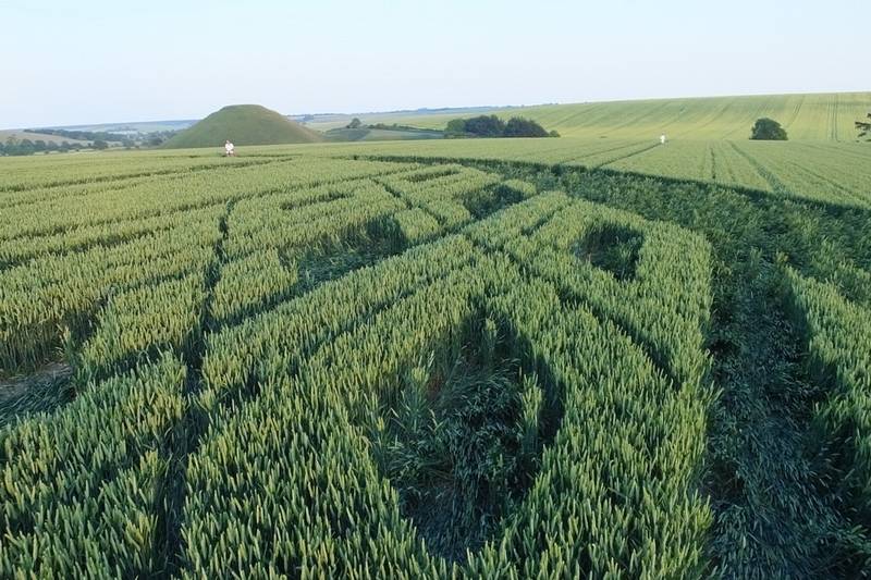 Avebury Trusloe, Wiltshire crop circle, aerial photo 99