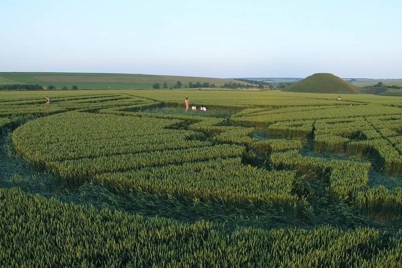 Avebury Trusloe, Wiltshire crop circle, aerial photo 97