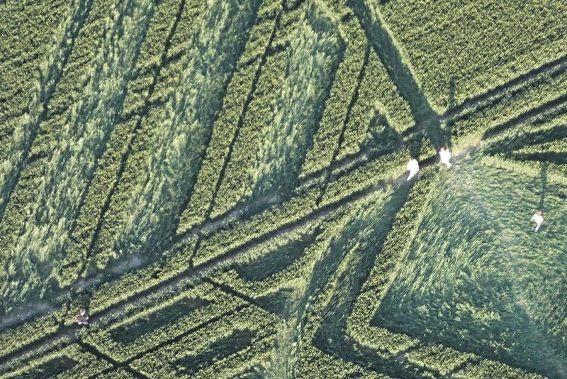Avebury Trusloe, Wiltshire crop circle, aerial photo 7