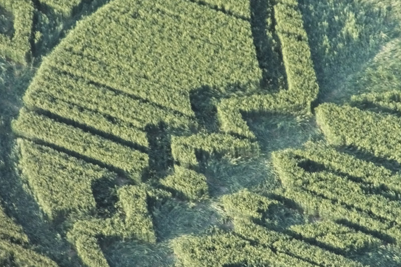 Avebury Trusloe, Wiltshire crop circle, aerial photo 9