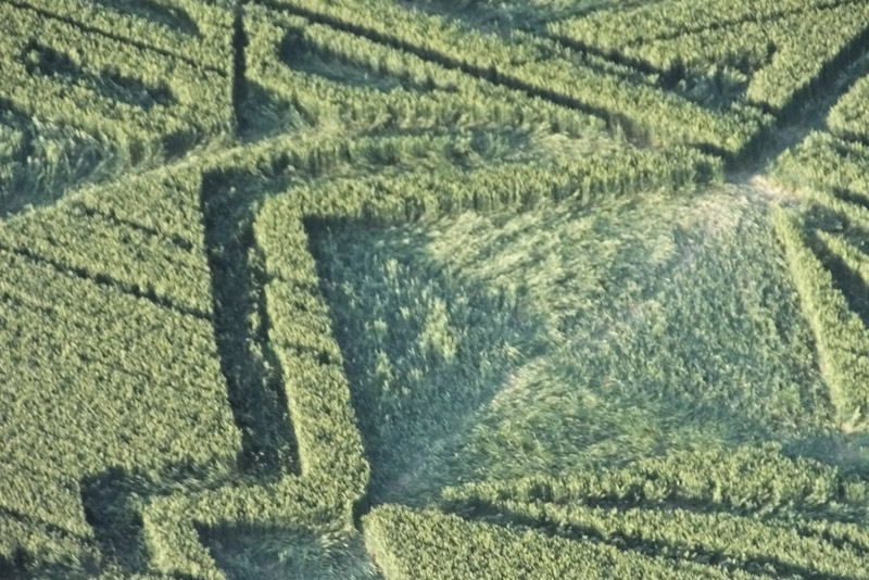 Avebury Trusloe, Wiltshire crop circle, aerial photo 11