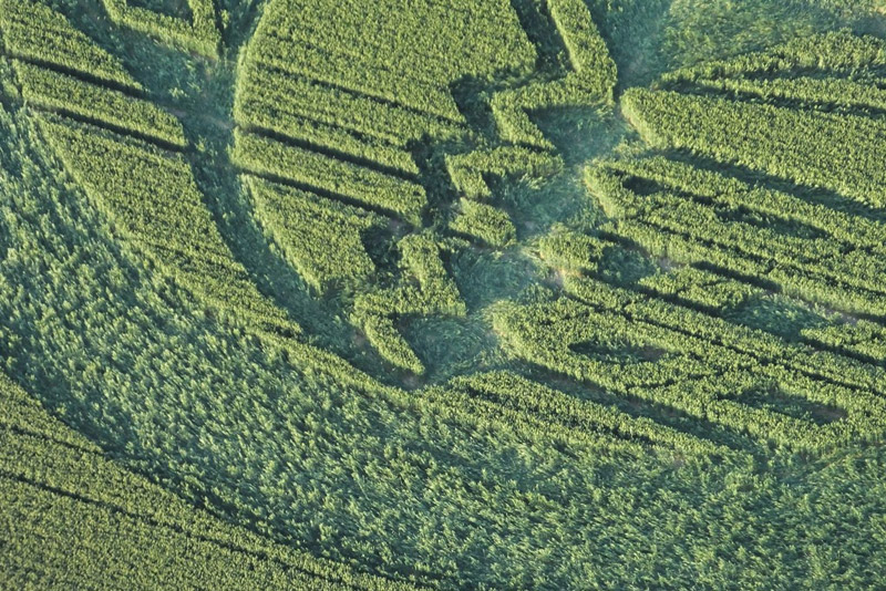 Avebury Trusloe, Wiltshire crop circle, aerial photo 12