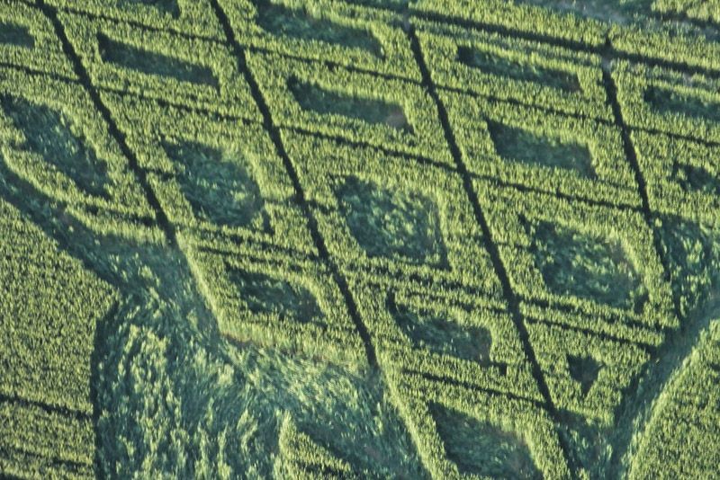 Avebury Trusloe, Wiltshire crop circle, aerial photo 14